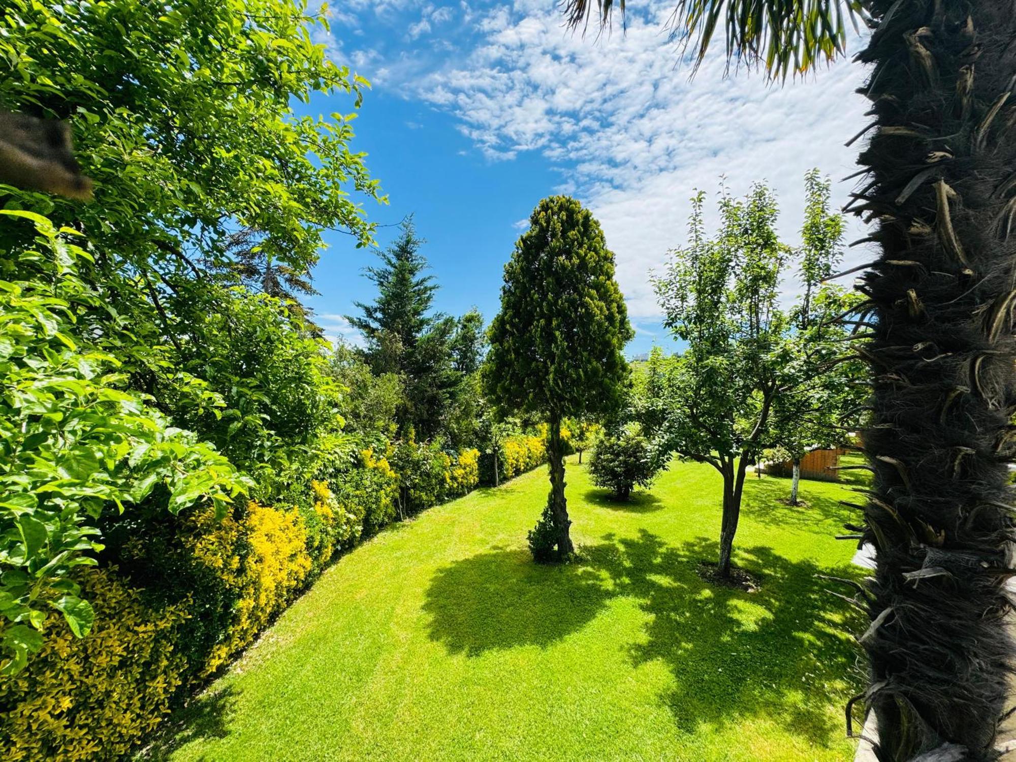 Istanbul Airport Treekos Suite Hotel Karaburun (Arnavutkoy) Exterior foto
